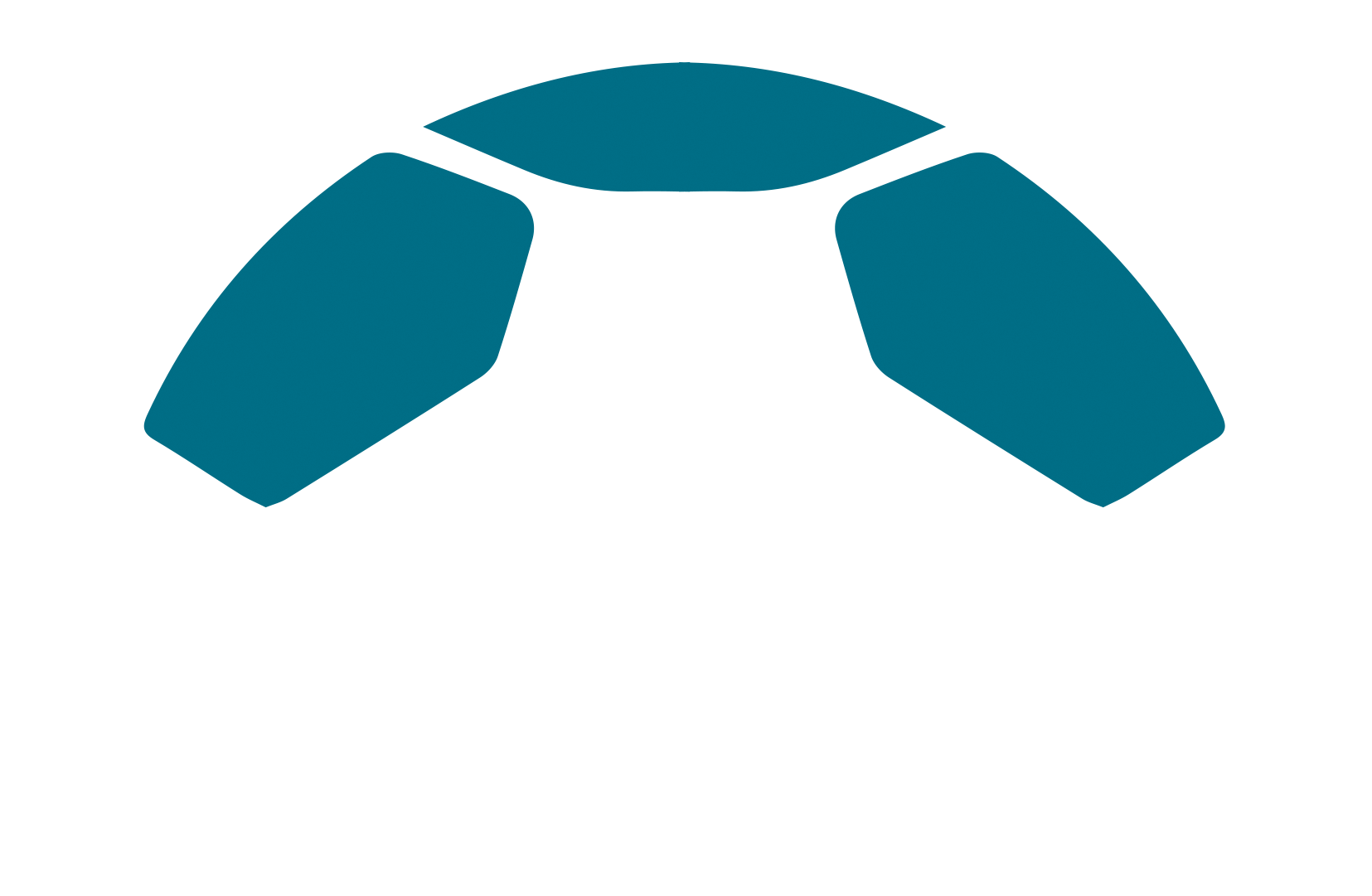 MAGISTER TESTUDO® — Your Technical Safety Guide